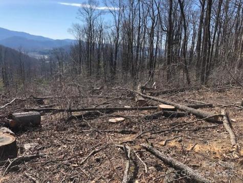 000 Butler Ridge Trail Hendersonville NC 28792