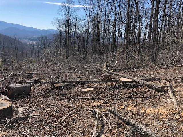 000 Butler Ridge Trail Hendersonville NC 28792