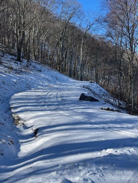 00 Wandering Trail Waynesville NC 28785