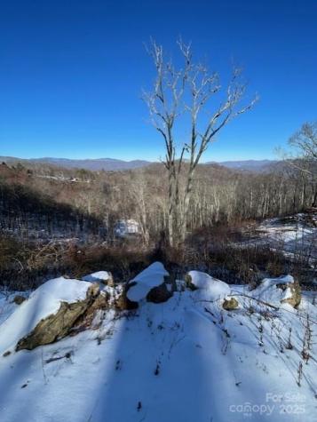 00 Wandering Trail Waynesville NC 28785