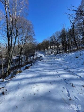 00 Wandering Trail Waynesville NC 28785