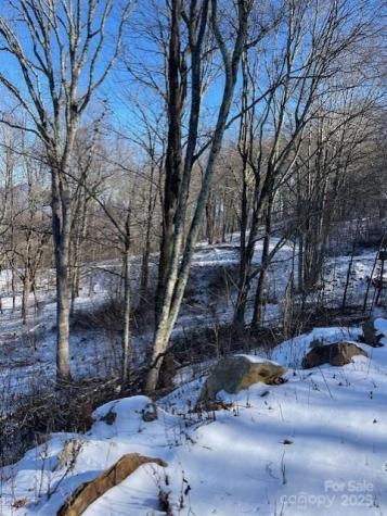 00 Wandering Trail Waynesville NC 28785