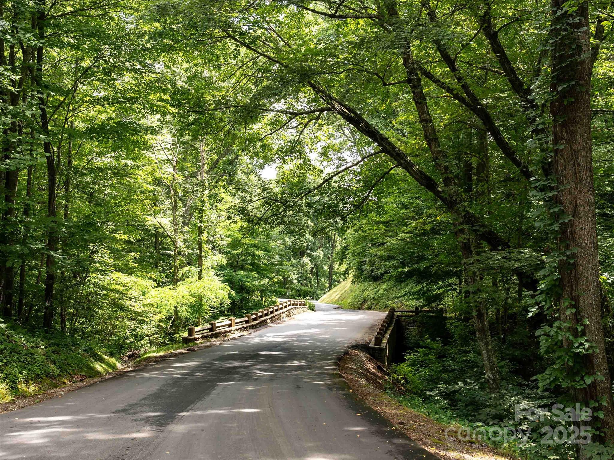 00 Wandering Trail Waynesville NC 28785