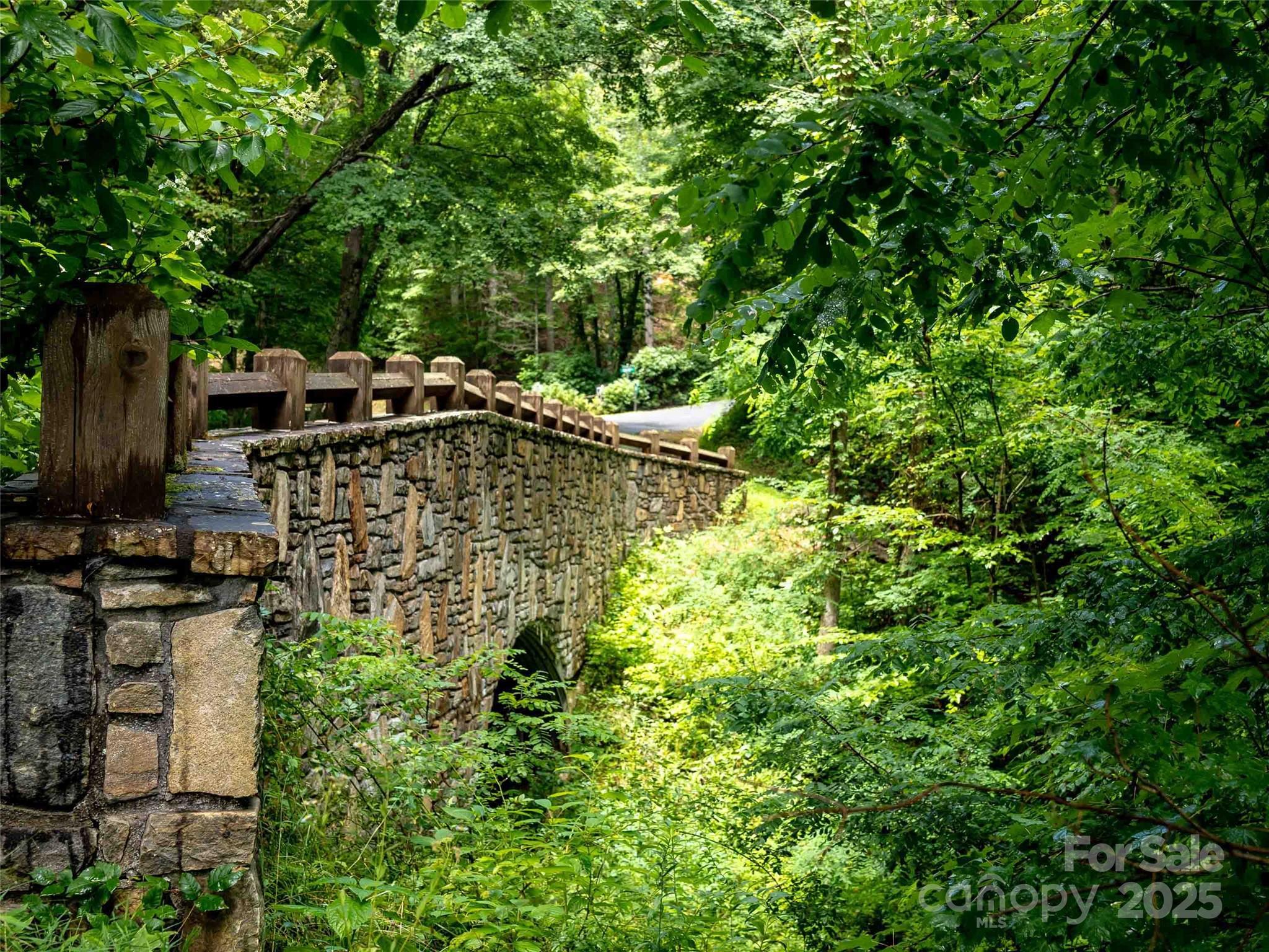 00 Wandering Trail Waynesville NC 28785