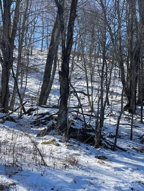 00 Wandering Trail Waynesville NC 28785