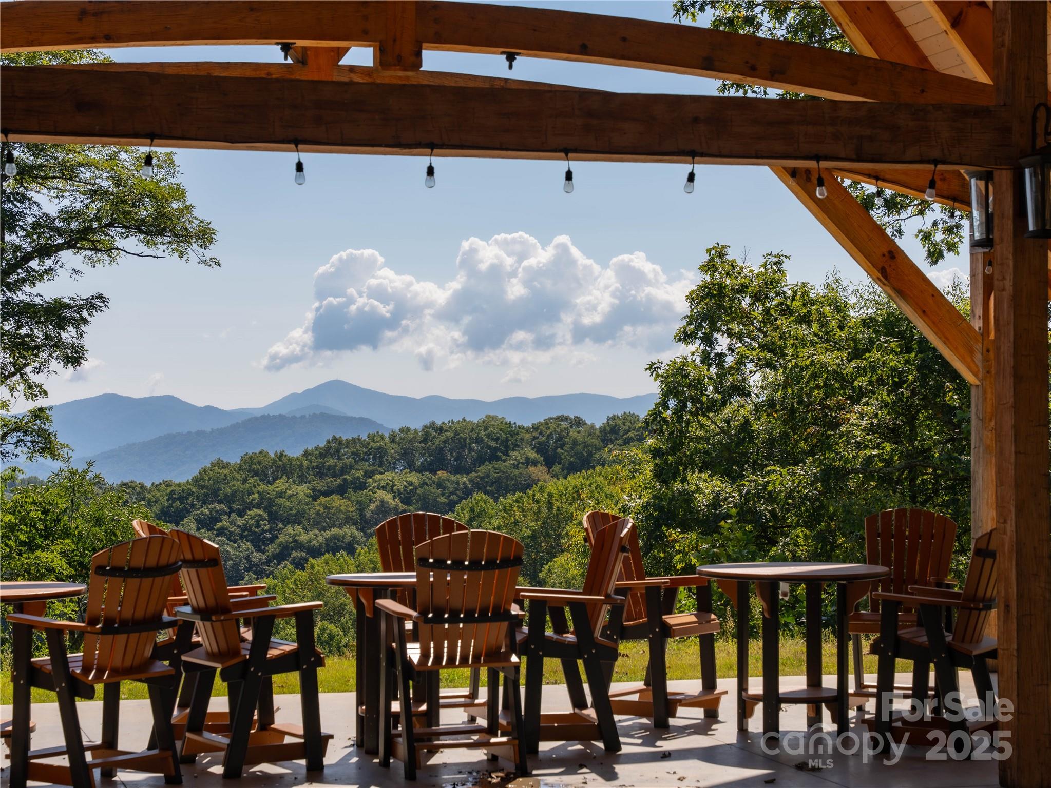 00 Wandering Trail Waynesville NC 28785