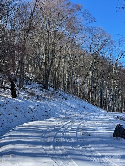 00 Wandering Trail Waynesville NC 28785