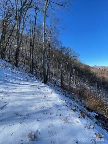 00 Wandering Trail Waynesville NC 28785