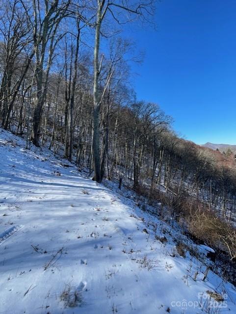 00 Wandering Trail Waynesville NC 28785