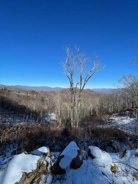 00 Wandering Trail Waynesville NC 28785