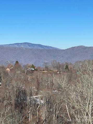 00 Wandering Trail Waynesville NC 28785