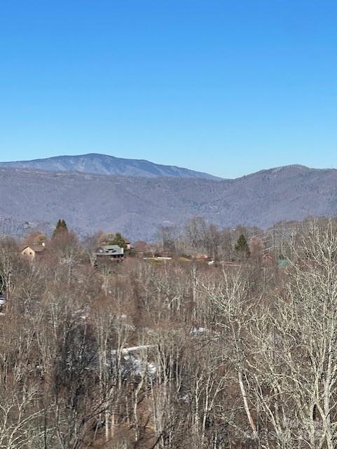 00 Wandering Trail Waynesville NC 28785