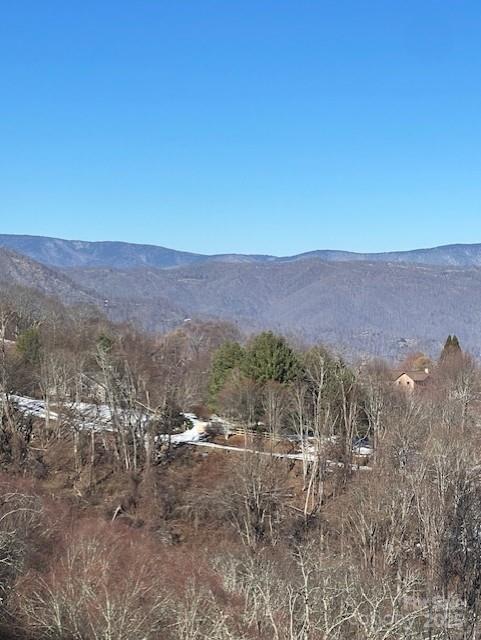 00 Wandering Trail Waynesville NC 28785