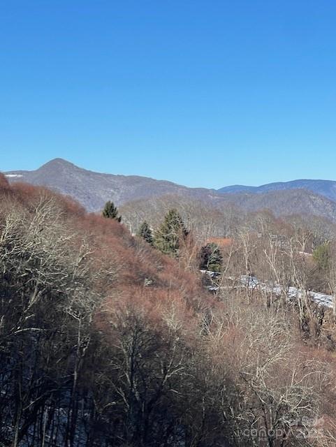 00 Wandering Trail Waynesville NC 28785