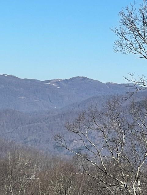 00 Wandering Trail Waynesville NC 28785