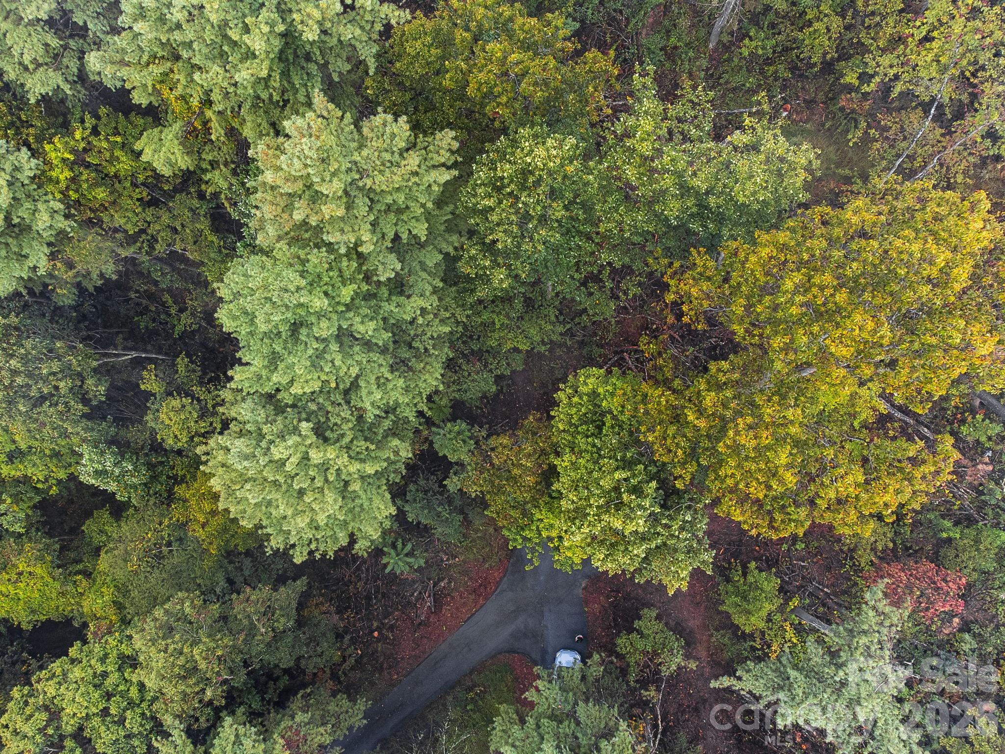 99999 Beaverbrook Road Asheville NC 28804