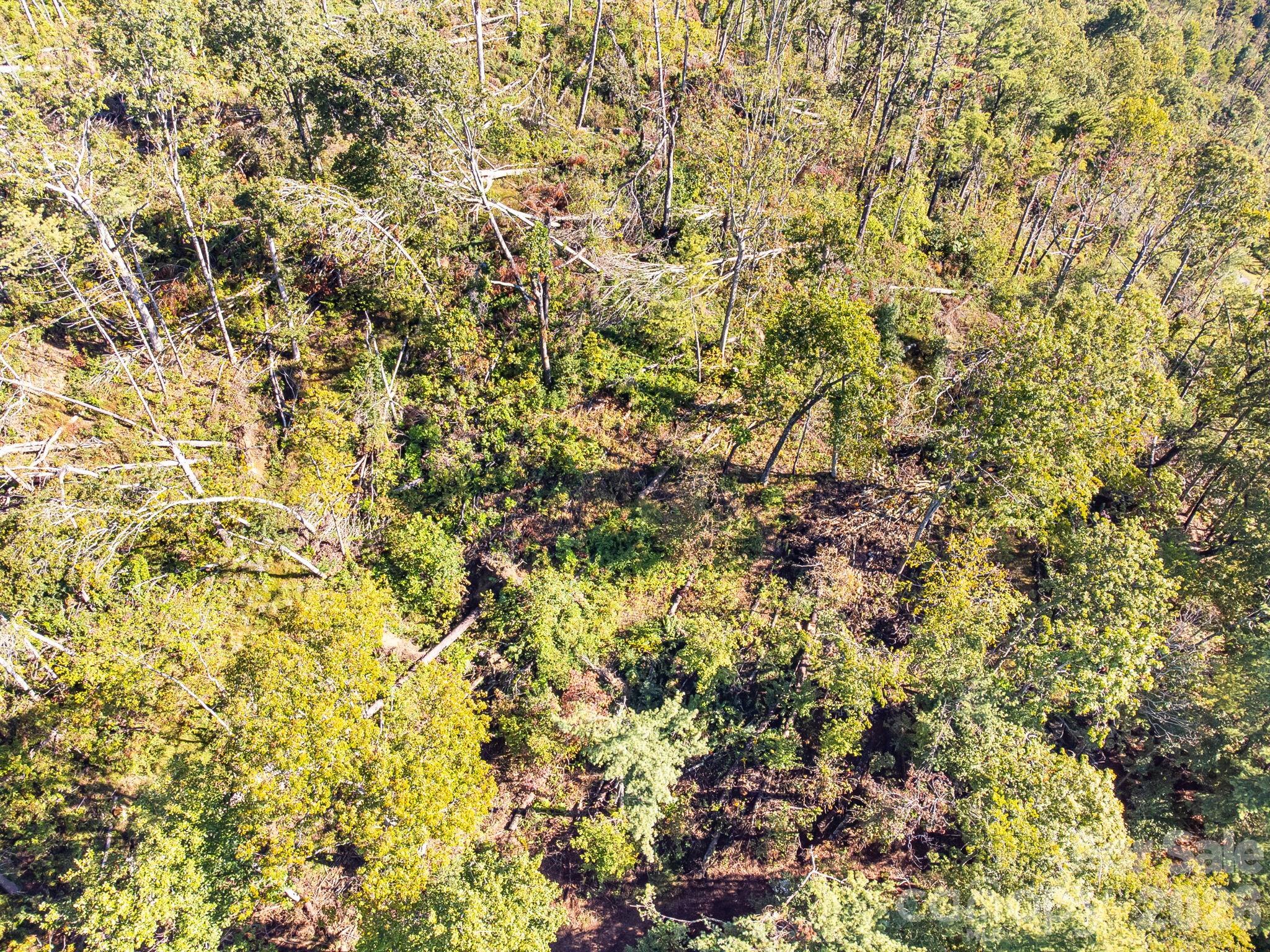 99999 Beaverbrook Road Asheville NC 28804