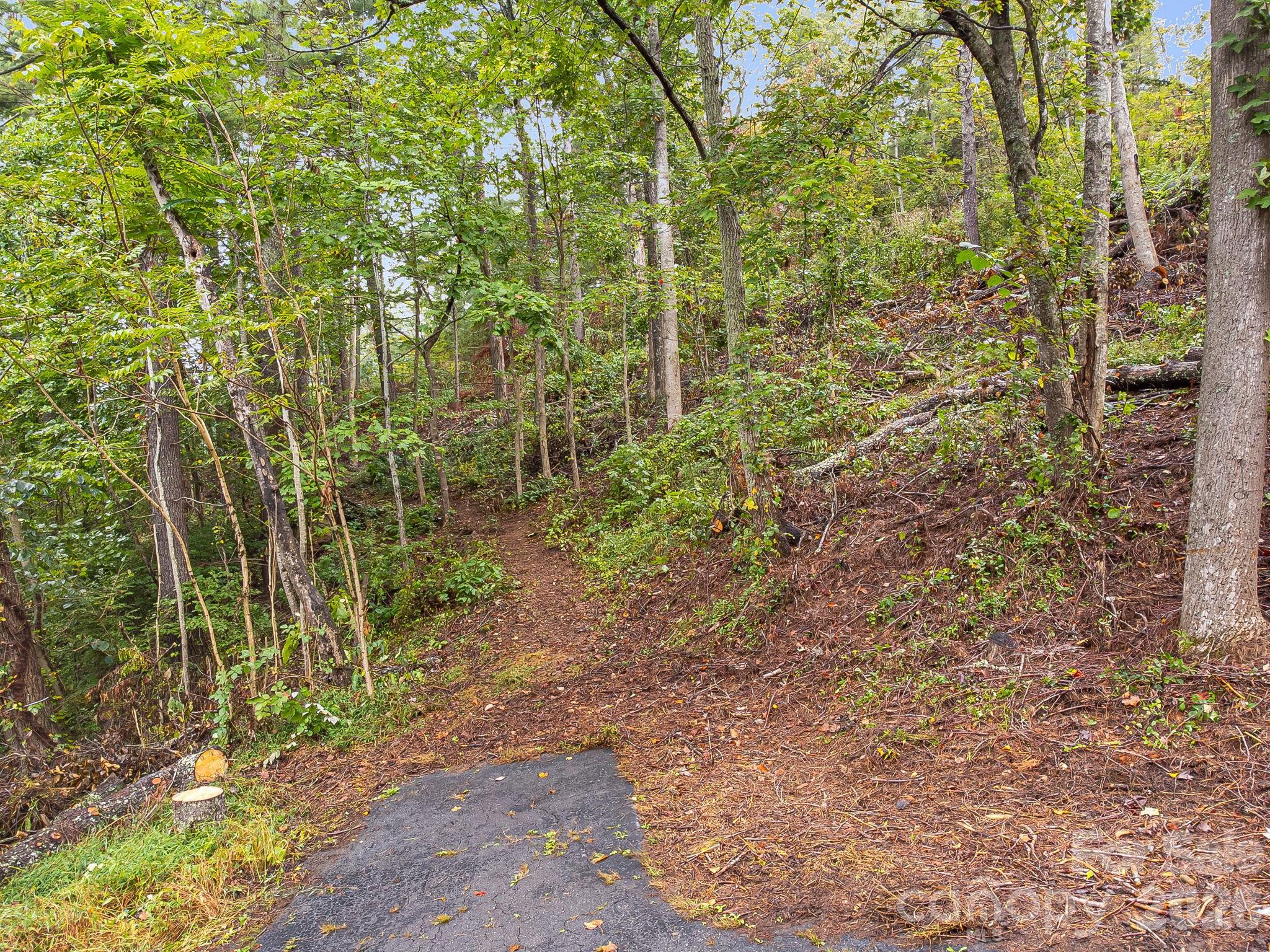 99999 Beaverbrook Road Asheville NC 28804