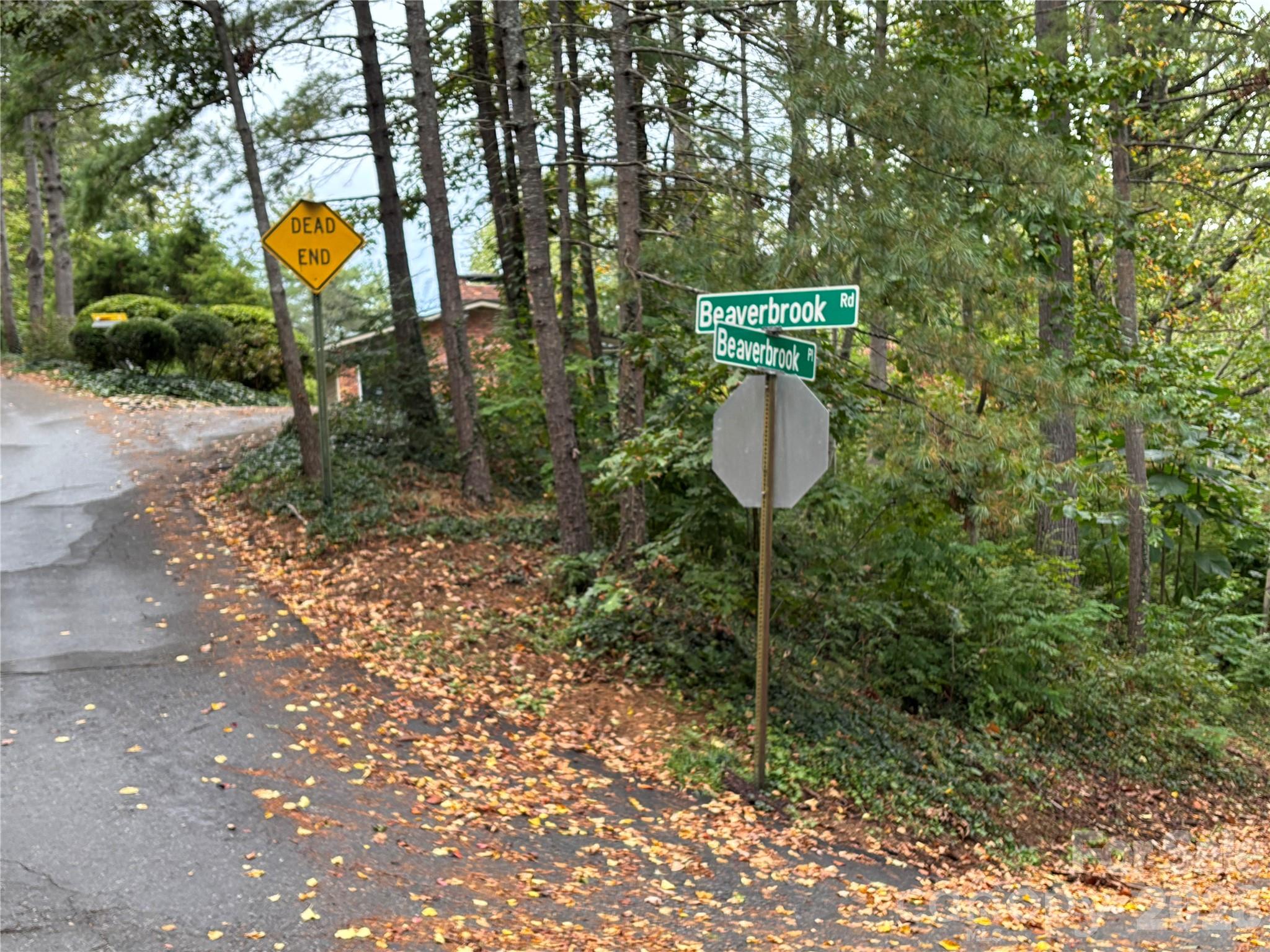 99999 Beaverbrook Road Asheville NC 28804