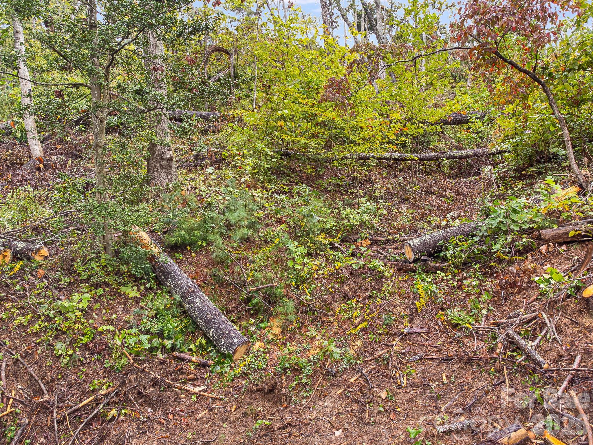 99999 Beaverbrook Road Asheville NC 28804