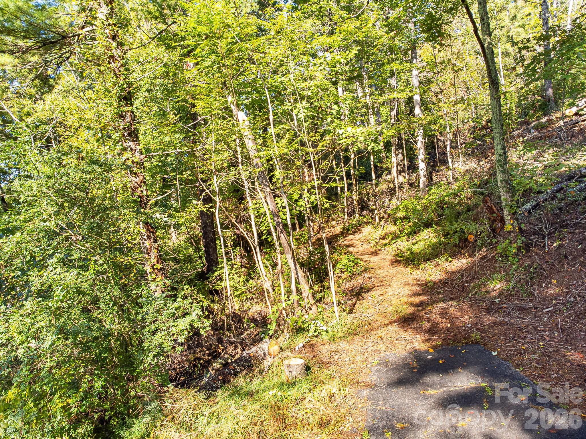 99999 Beaverbrook Road Asheville NC 28804