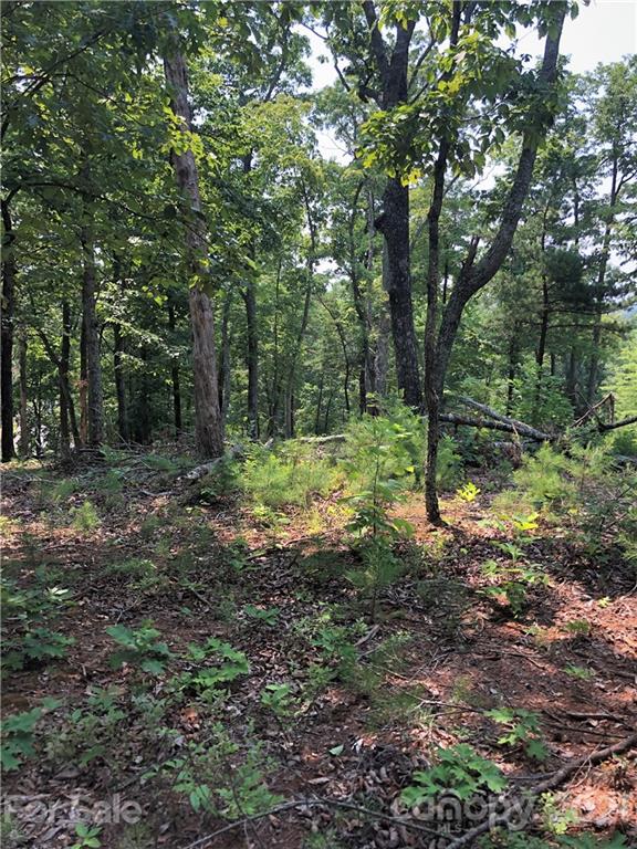 0 Lure Ridge Drive Lake Lure NC 28746