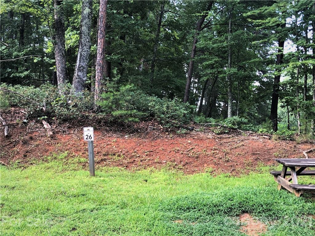 0 Lure Ridge Drive Lake Lure NC 28746