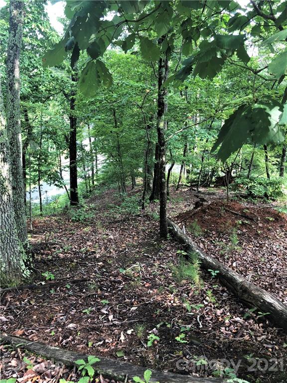0 Lure Ridge Drive Lake Lure NC 28746