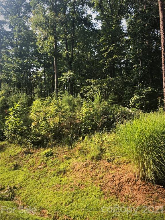 0 Lure Ridge Drive Lake Lure NC 28746