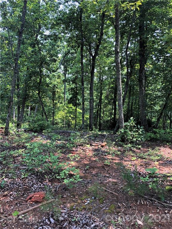 0 Lure Ridge Drive Lake Lure NC 28746