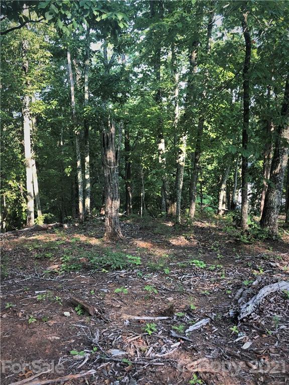 0 Lure Ridge Drive Lake Lure NC 28746