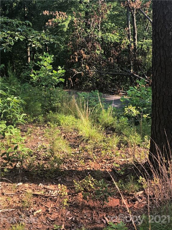0 Lure Ridge Drive Lake Lure NC 28746