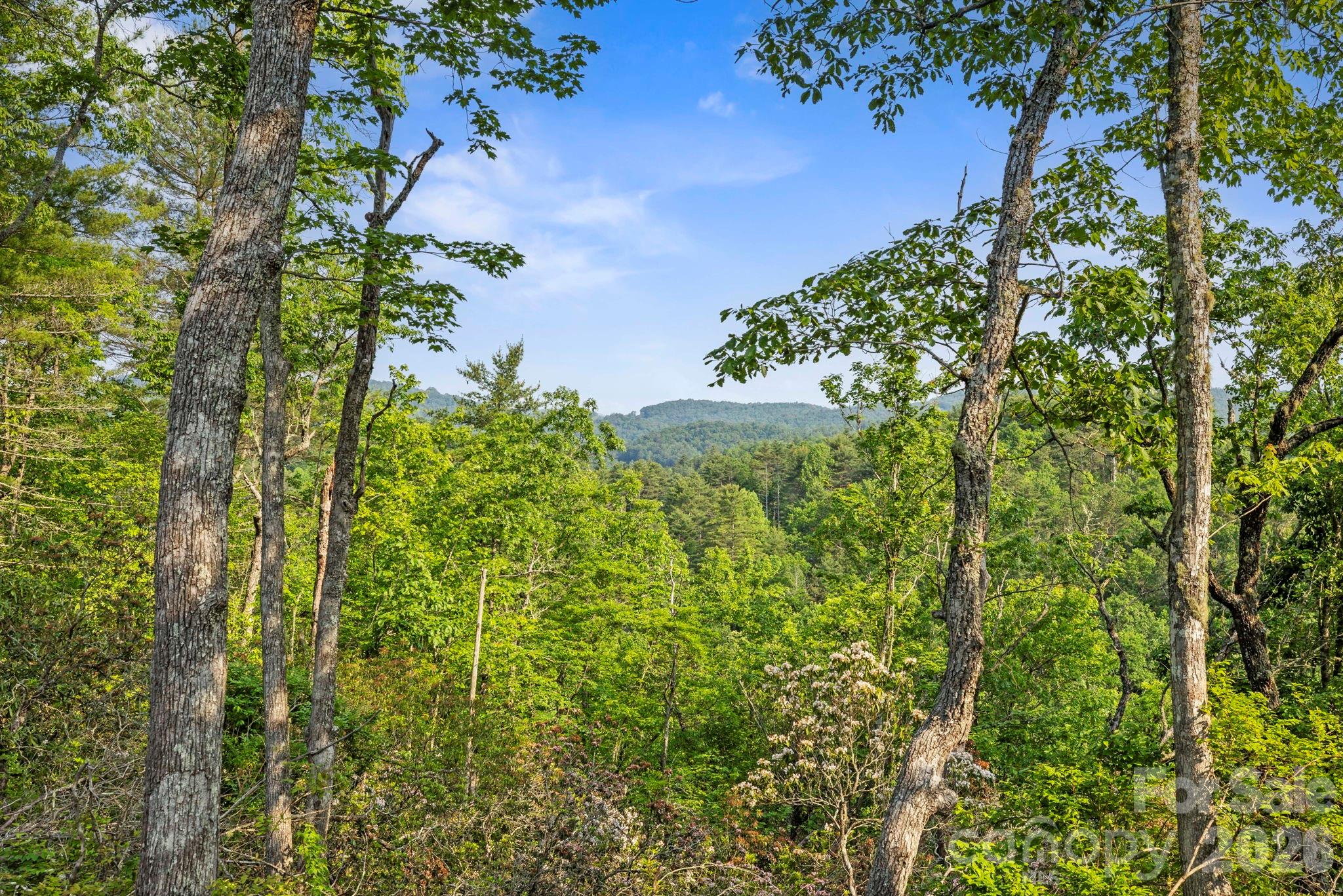 251 Paul Mccoy Road Lake Toxaway NC 28747