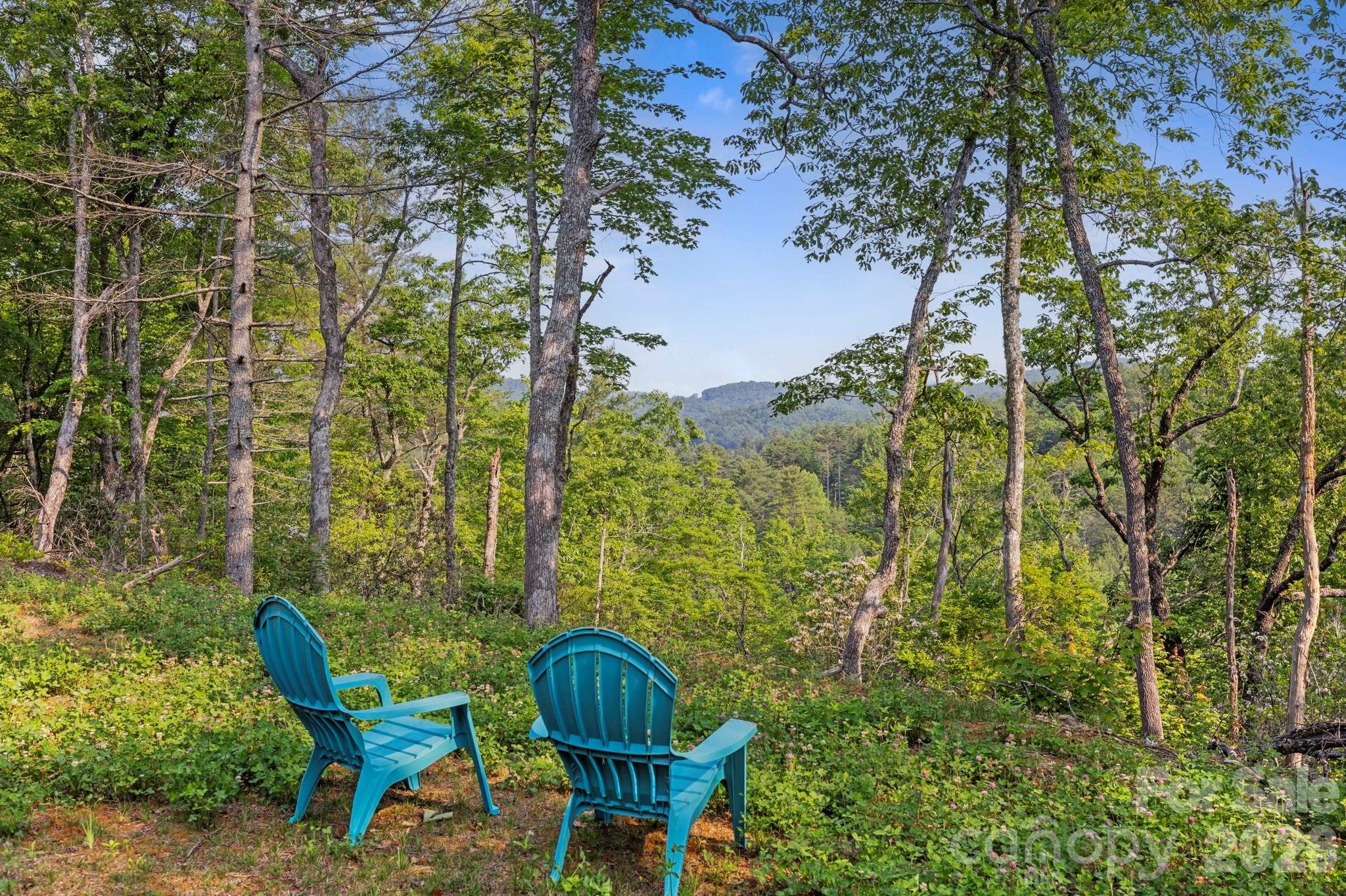 251 Paul Mccoy Road Lake Toxaway NC 28747