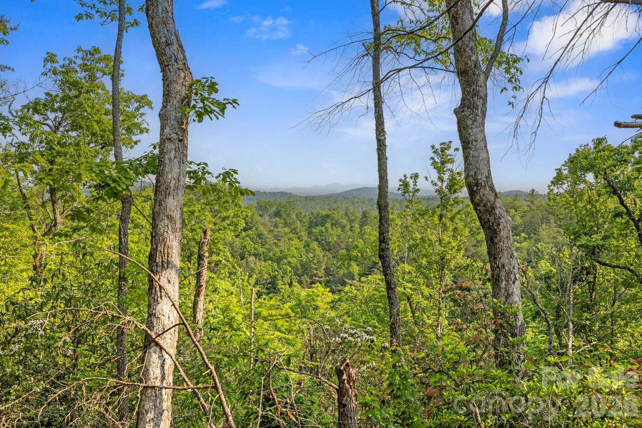 251 Paul Mccoy Road Lake Toxaway NC 28747