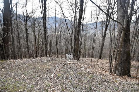 44 Prosperity Ridge Waynesville NC 28785