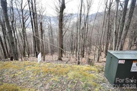 44 Prosperity Ridge Waynesville NC 28785