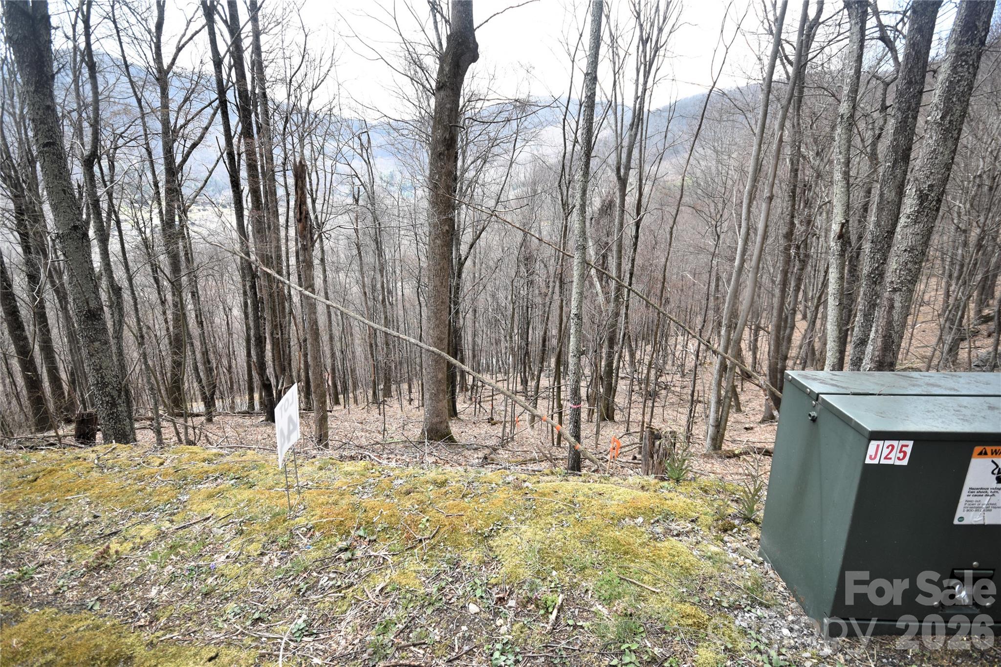 44 Prosperity Ridge Waynesville NC 28785