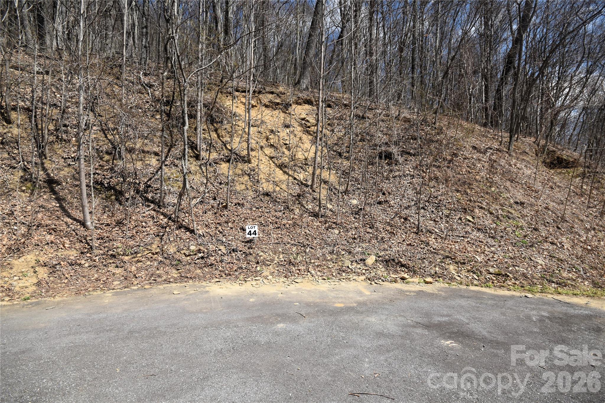 44 Prosperity Ridge Waynesville NC 28785