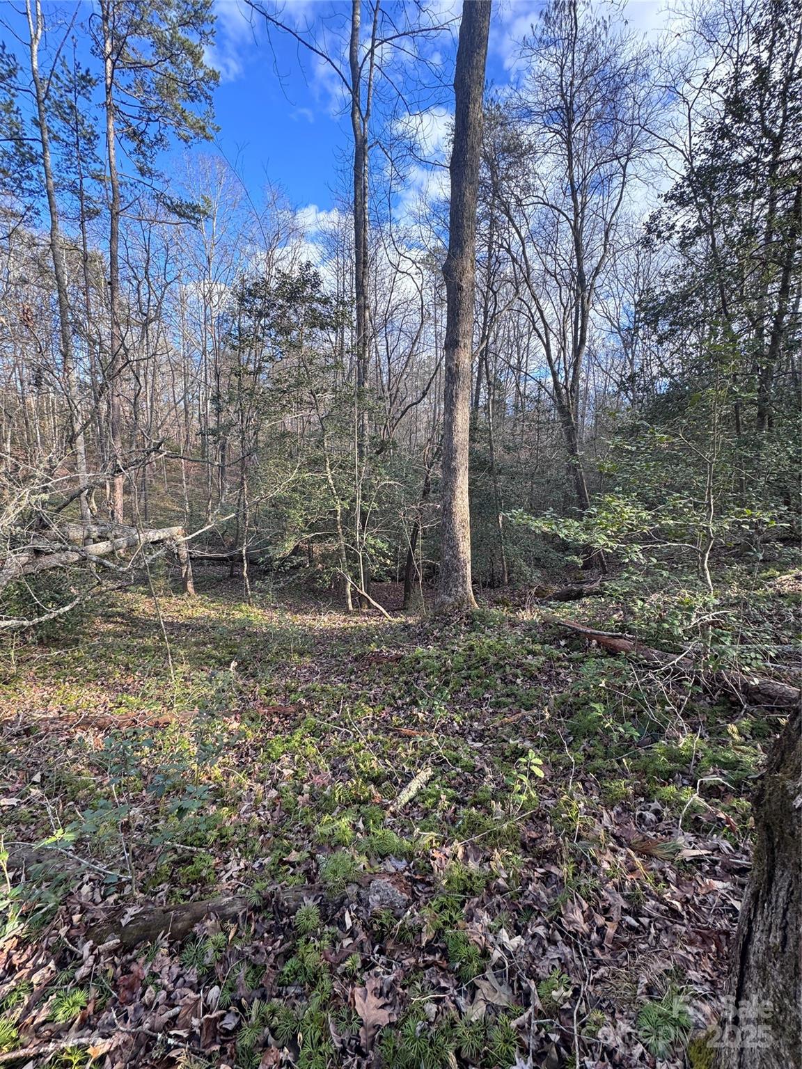 0 Hearthstone Drive Union Mills NC 28167