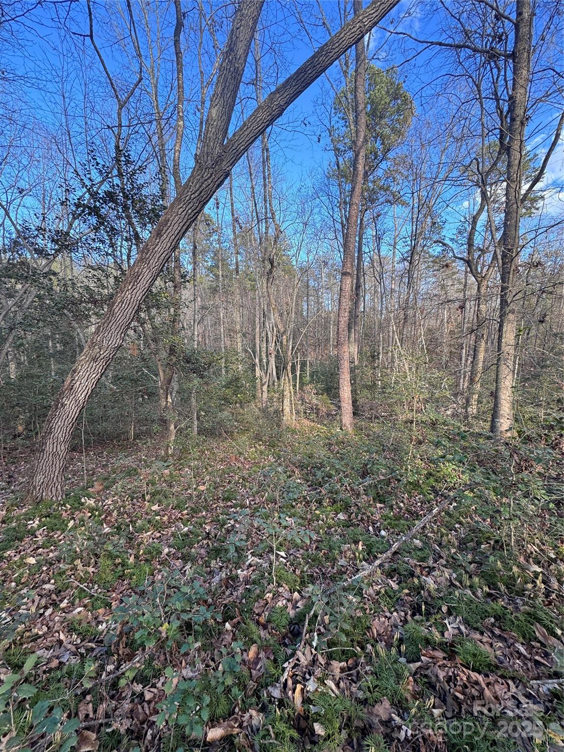 0 Hearthstone Drive Union Mills NC 28167