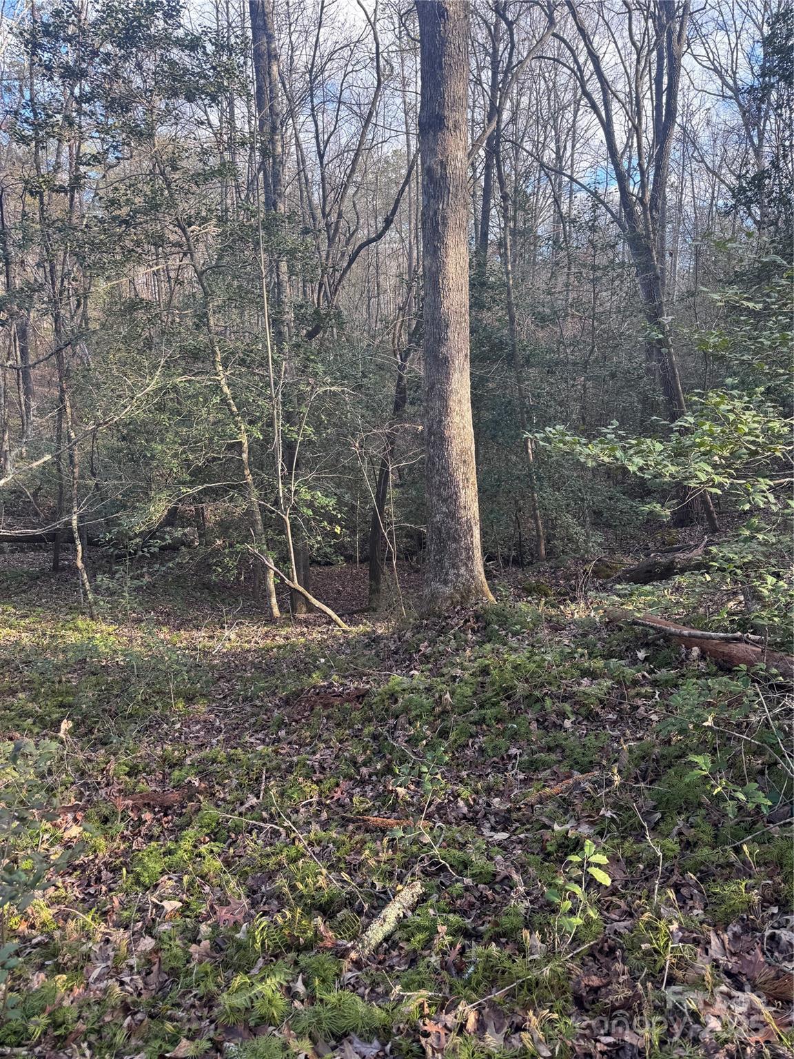 0 Hearthstone Drive Union Mills NC 28167