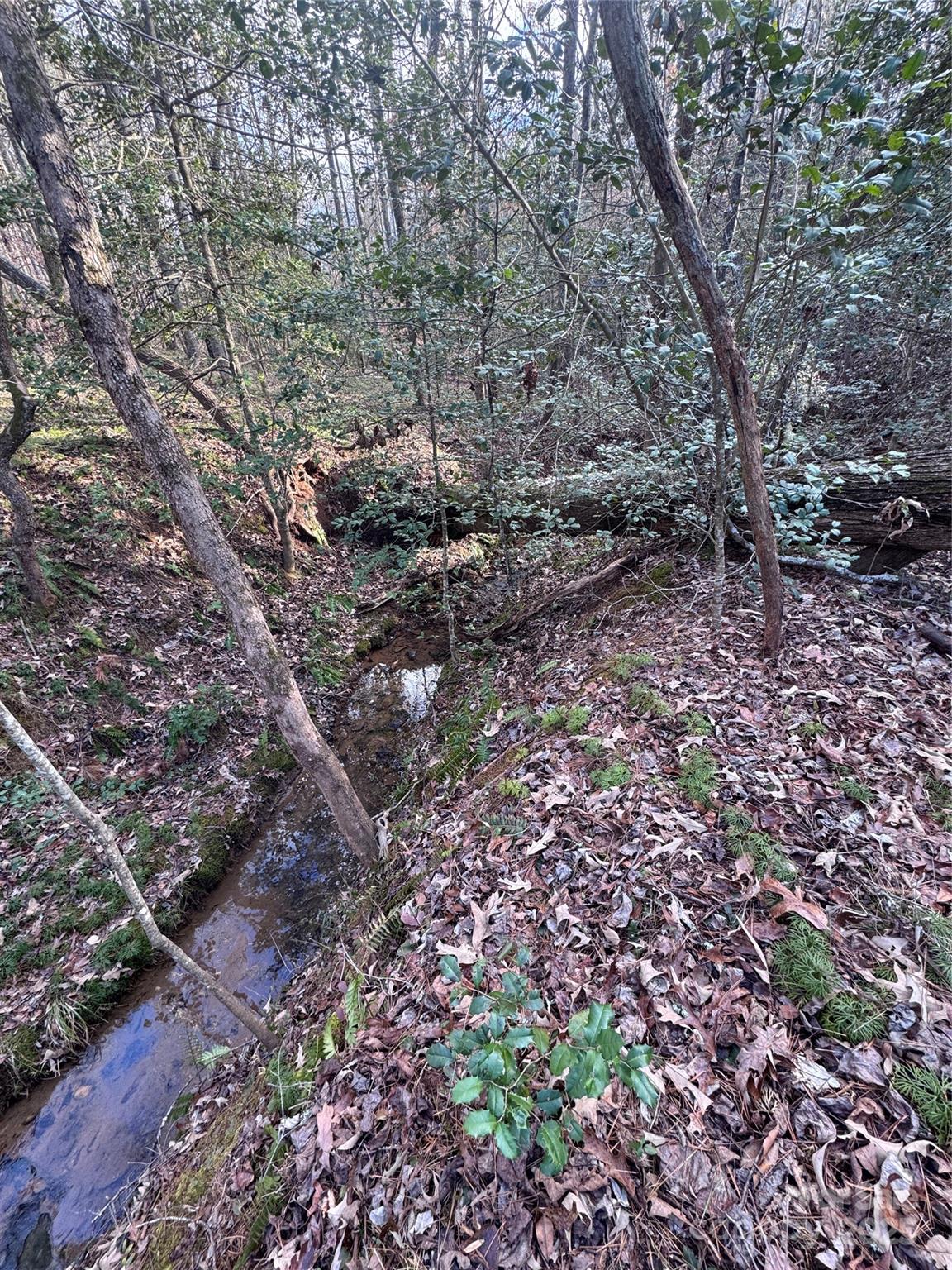 0 Hearthstone Drive Union Mills NC 28167