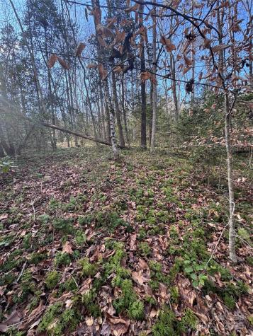 0 Hearthstone Drive Union Mills NC 28167