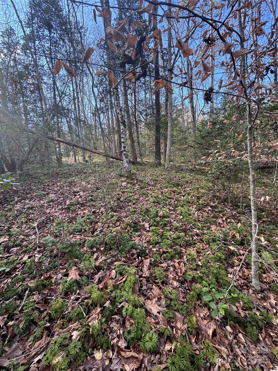 0 Hearthstone Drive Union Mills NC 28167