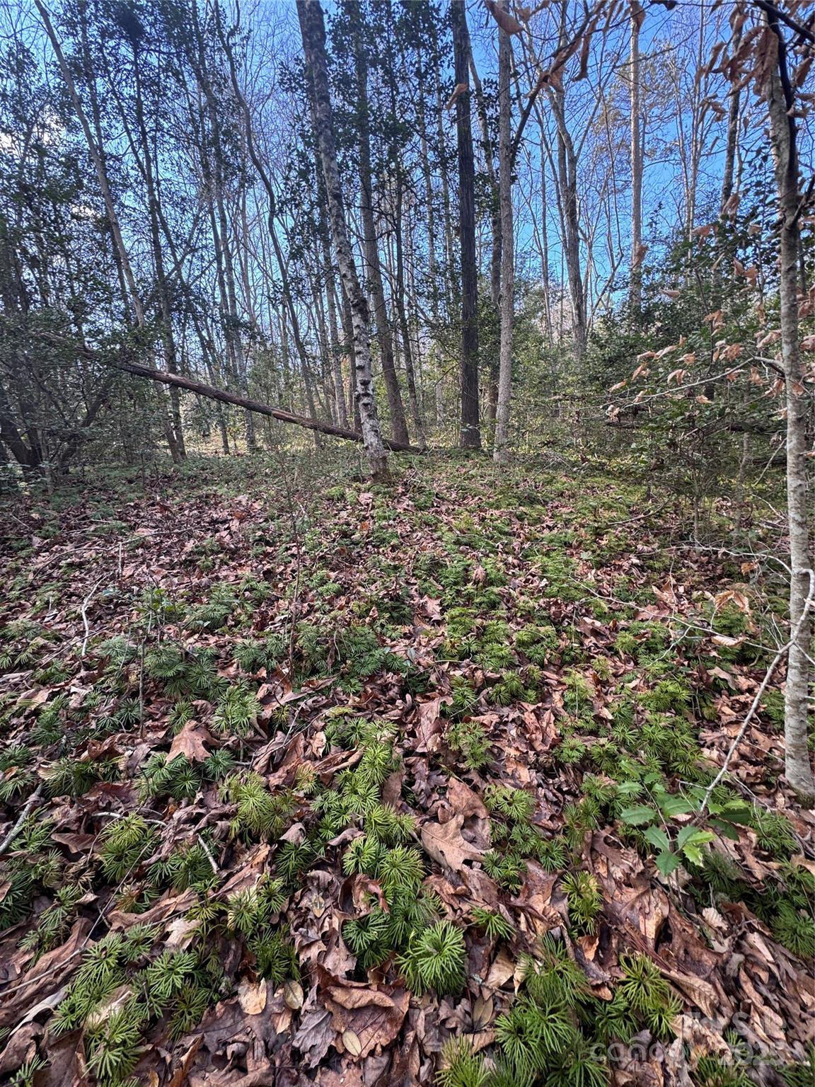 0 Hearthstone Drive Union Mills NC 28167