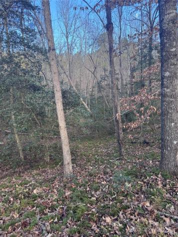 0 Hearthstone Drive Union Mills NC 28167