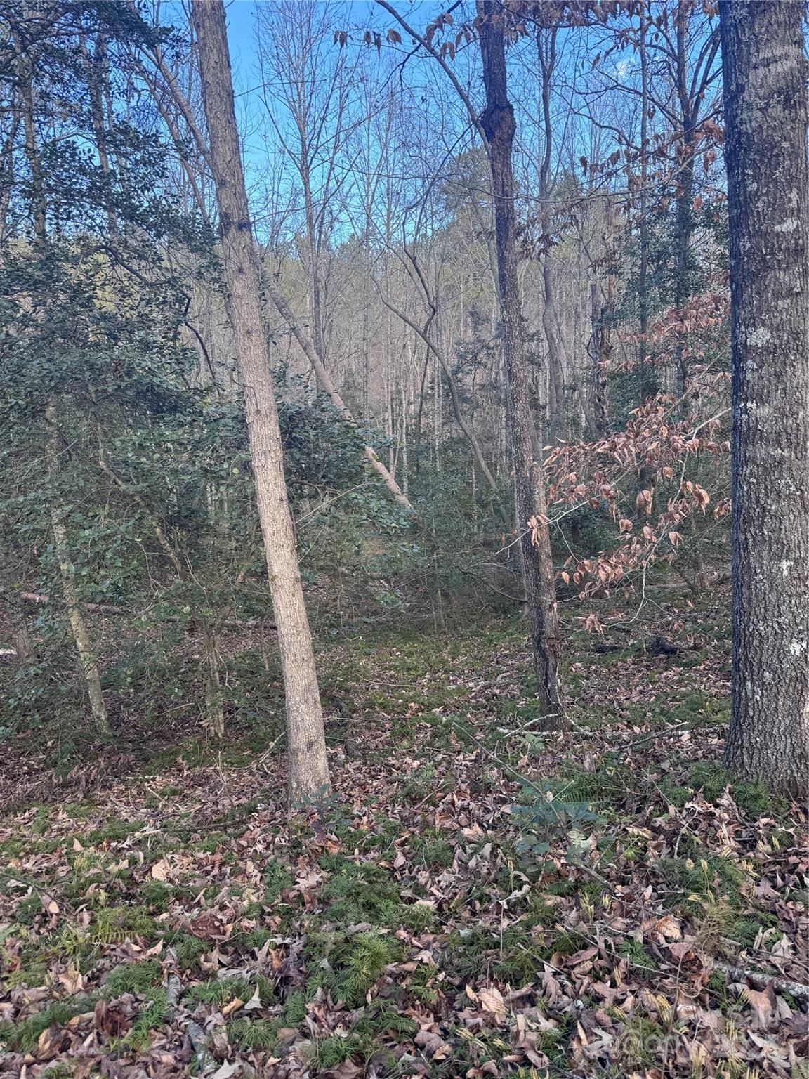 0 Hearthstone Drive Union Mills NC 28167