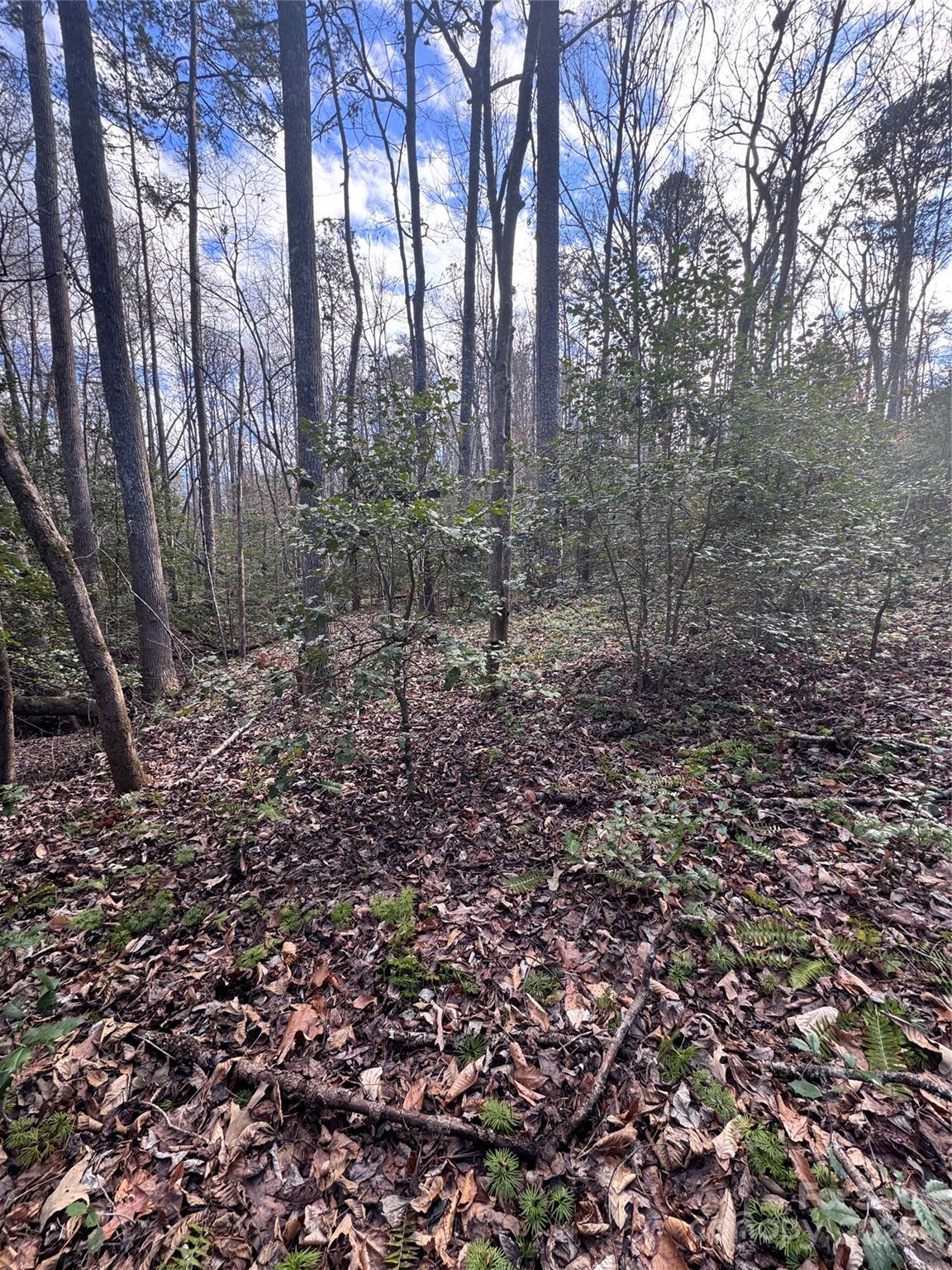 0 Hearthstone Drive Union Mills NC 28167