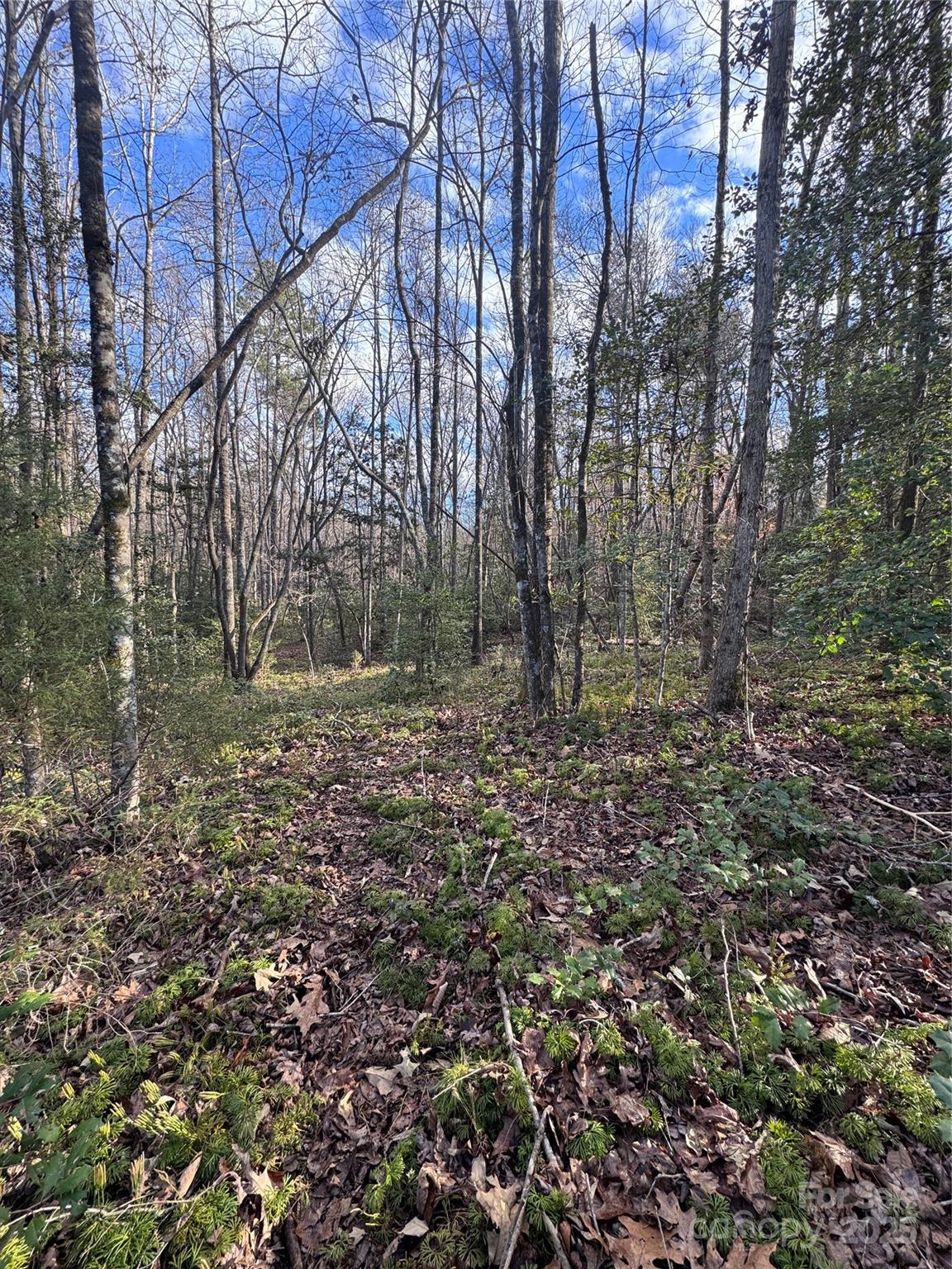0 Hearthstone Drive Union Mills NC 28167